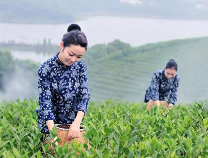 谷雨节气各地风俗大揭秘 谷雨各地有哪些风俗